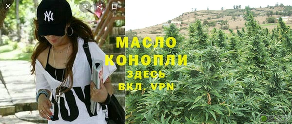 мдпв Протвино