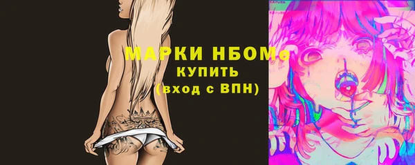 мдпв Протвино