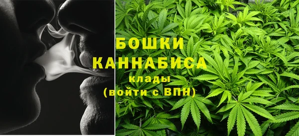 мдпв Протвино