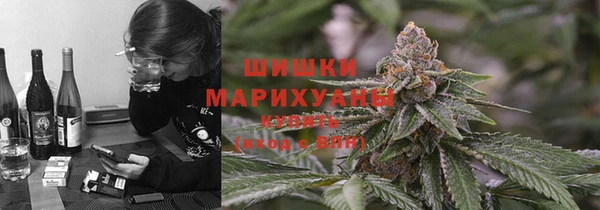 мдпв Протвино