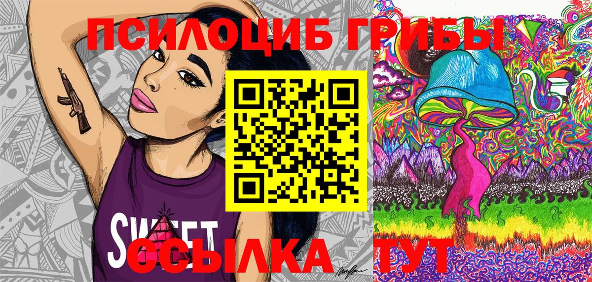 Галлюциногенные грибы Psilocybe  Старый Оскол 