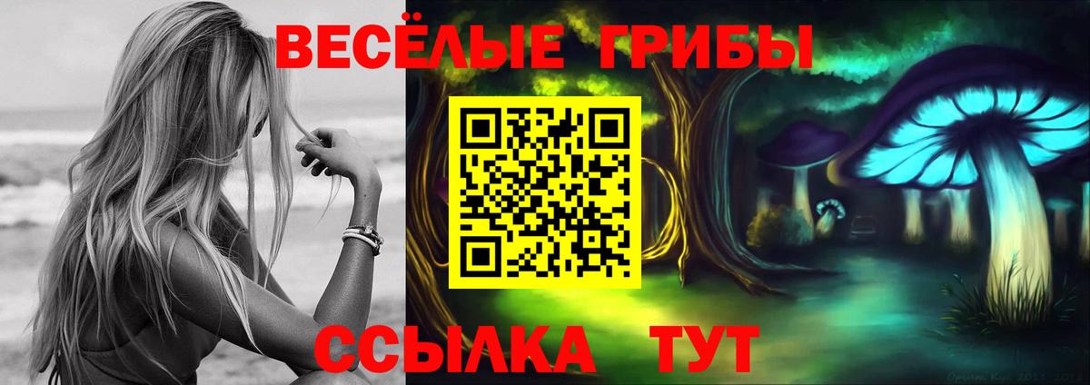 Псилоцибиновые грибы ЛСД  цена наркотик  Старый Оскол  Вход с VPN 