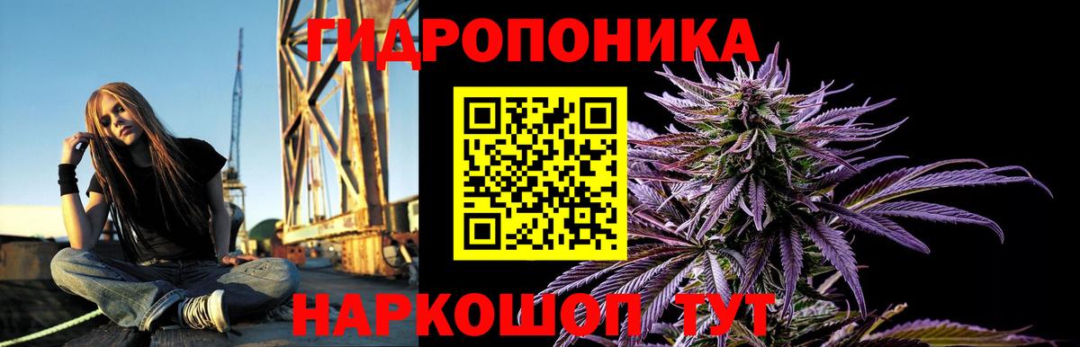 Канабис THC 21%  Бошки марихуана семена  Канабис VHQ  Старый Оскол 